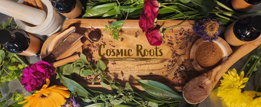 Cosmic Roots